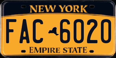 NY license plate FAC6020