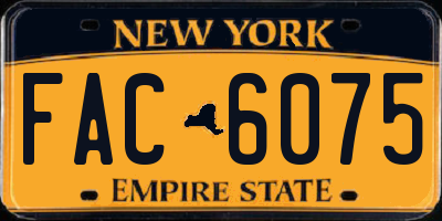 NY license plate FAC6075