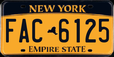 NY license plate FAC6125