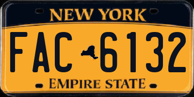 NY license plate FAC6132