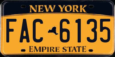 NY license plate FAC6135