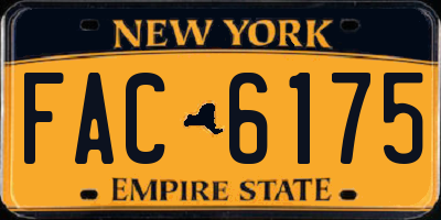 NY license plate FAC6175