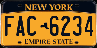 NY license plate FAC6234
