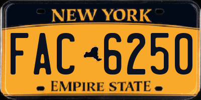 NY license plate FAC6250