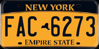 NY license plate FAC6273