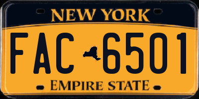NY license plate FAC6501