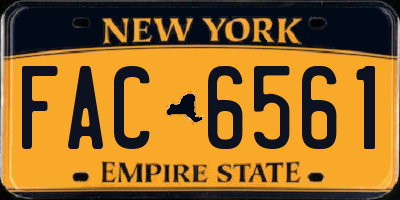 NY license plate FAC6561