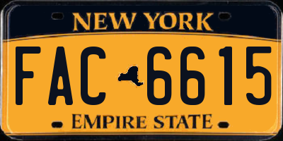 NY license plate FAC6615