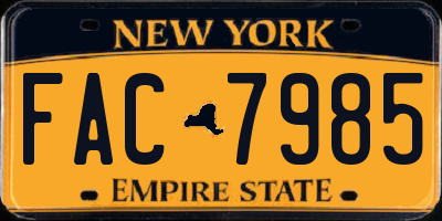 NY license plate FAC7985