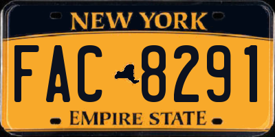 NY license plate FAC8291