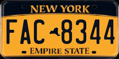 NY license plate FAC8344