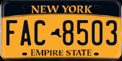 NY license plate FAC8503