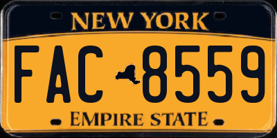 NY license plate FAC8559