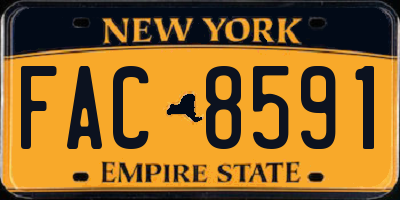 NY license plate FAC8591