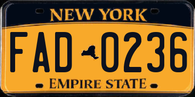 NY license plate FAD0236