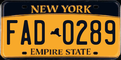 NY license plate FAD0289