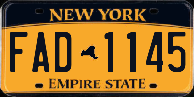 NY license plate FAD1145