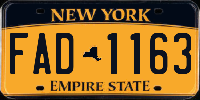 NY license plate FAD1163
