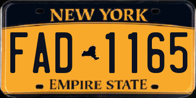 NY license plate FAD1165