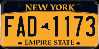 NY license plate FAD1173