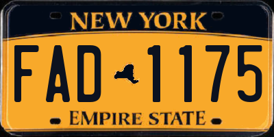 NY license plate FAD1175