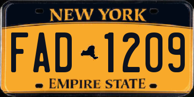 NY license plate FAD1209