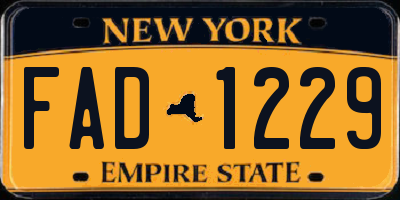 NY license plate FAD1229