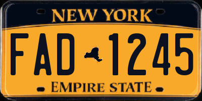 NY license plate FAD1245