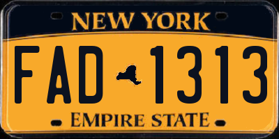 NY license plate FAD1313