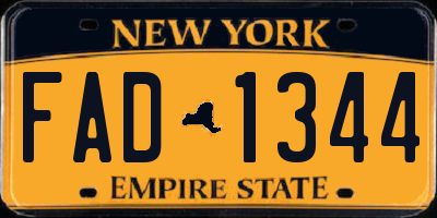 NY license plate FAD1344