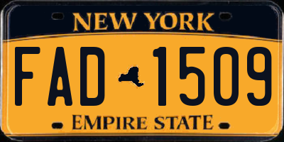 NY license plate FAD1509