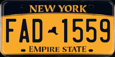 NY license plate FAD1559