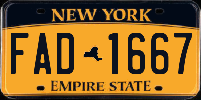 NY license plate FAD1667