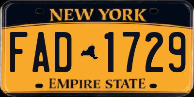 NY license plate FAD1729