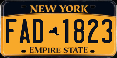 NY license plate FAD1823