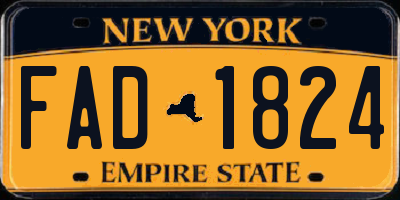 NY license plate FAD1824