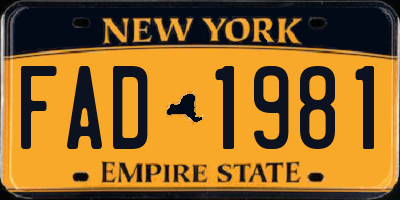NY license plate FAD1981