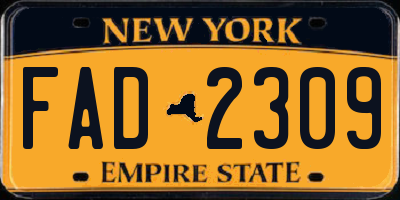 NY license plate FAD2309