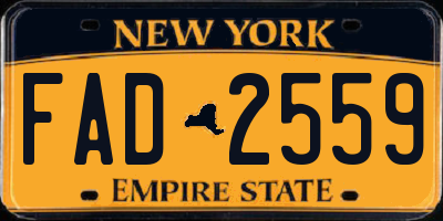 NY license plate FAD2559