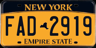 NY license plate FAD2919