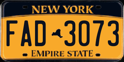 NY license plate FAD3073