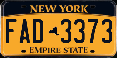 NY license plate FAD3373