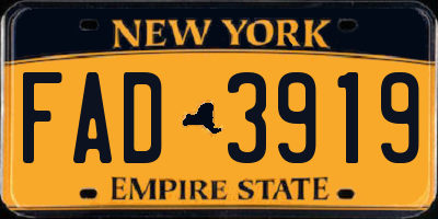 NY license plate FAD3919