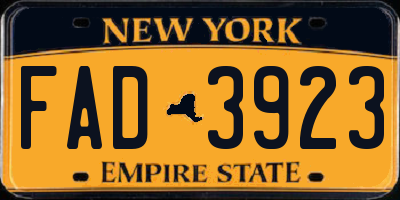 NY license plate FAD3923