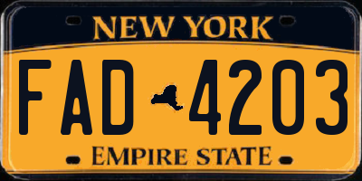 NY license plate FAD4203