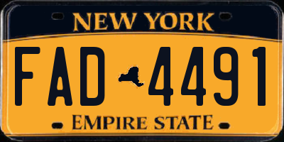 NY license plate FAD4491