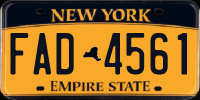 NY license plate FAD4561