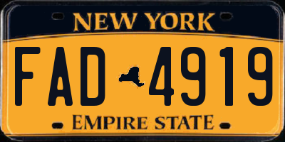 NY license plate FAD4919