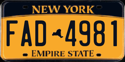 NY license plate FAD4981