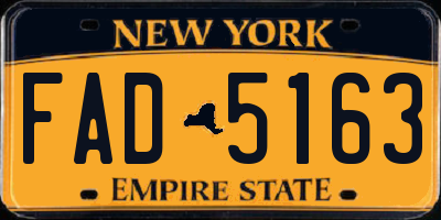 NY license plate FAD5163